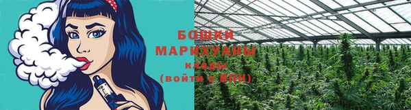 ALPHA PVP Беломорск