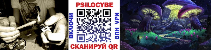 Псилоцибиновые грибы GOLDEN TEACHER  Наволоки 